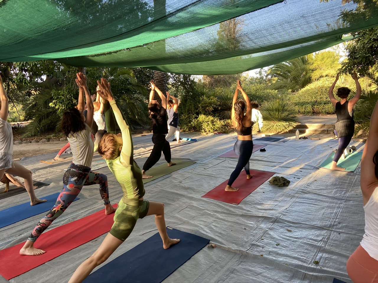 Dynamic Vinyasa Yoga  Drop-In at Humboldt Forum