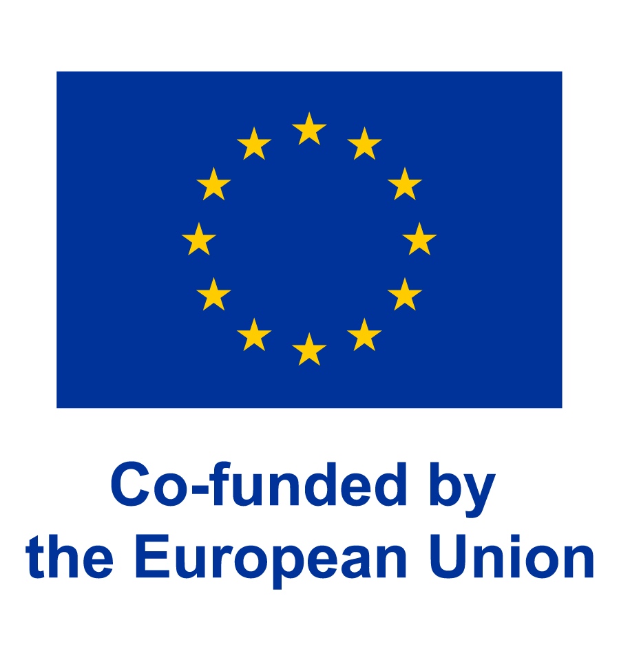 Co-funded by European Union